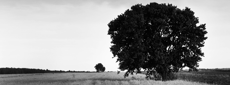 免费用虚拟号码发电话
